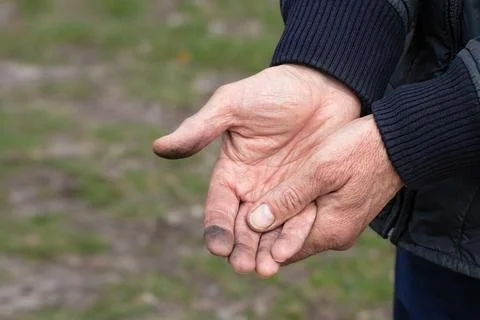 Hands of a hard working man. Close up of hands. Stock Photos