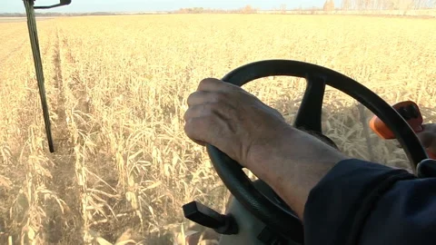 Hands harvester driver on the steering wheel and joystick control Stock Footage 99431856