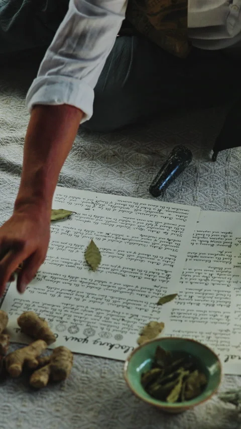 Hands, healer and paper with herbs for ritual, scripture and herbal medicine for Stock-Footage 340385484