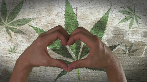 Hands Heart Symbol Marijuana Leaf Stock Footage 38567252