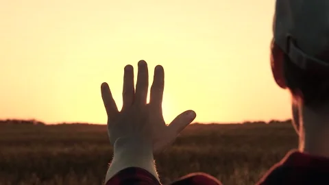 Hands held tight, we stretch towards our dreams together. Whether sunny day Stock Footage 247236922