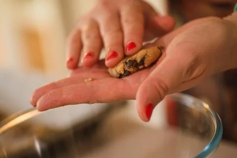 Hands hold a broken chocolate chip cookie, revealing its soft center. Stock Photos