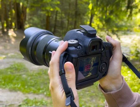 Hands hold camera reviewing image on screen in forest. Person checks photo Stock Photos