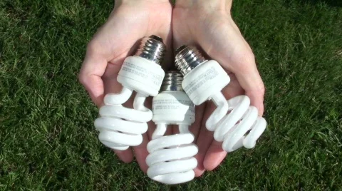 Hands hold energy saving light bulbs V2 - HD  Stock Footage 505237