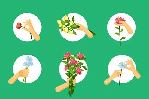 Hands hold flowers set. Red plucked chrysanthemums for birthday bouquet blue Stock Illustration