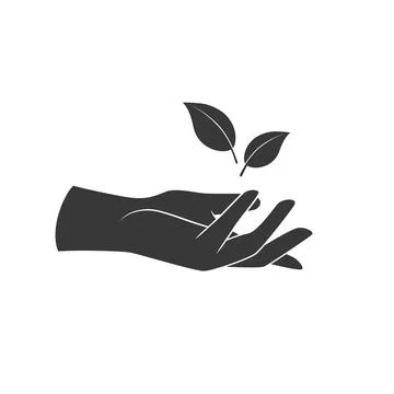 Hands hold a leaf of the plant. Vector illustration 스톡 일러스트