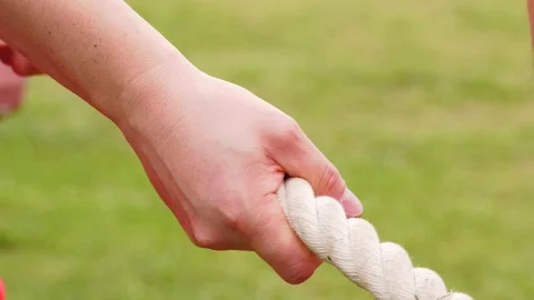 Hands hold the rope Stock-Footage 101740542