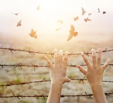 Hands hold rusty sharp bare wire with hope for freedom among flying birds Foto stock