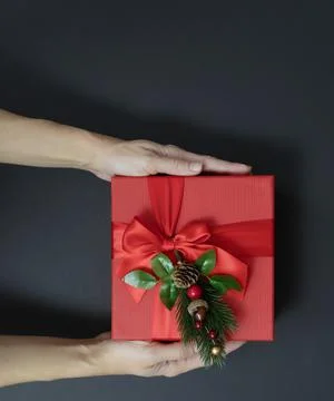 Hands hold a square red gift box with a decorative fir sprig on a black Stock Photos