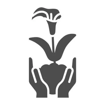 Hands hold young growing calla flower solid icon, gardening concept, Calla with Illustrazione stock