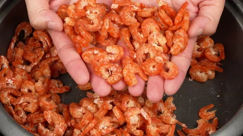 Hands Holding And Checking Dried Shrimp Quality Close Up 스톡 동영상 337781332