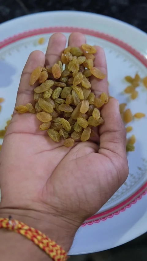 Hands holding and dropping golden raisins or kishmish onto a white plate Video stock 333202989