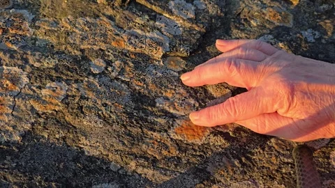 Hands Holding and Inspecting Granite Stone on Rocky Shore Stock Footage 342847795