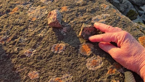 Hands Holding and Inspecting Smooth Pebbles at sunset Stock Footage 342847814