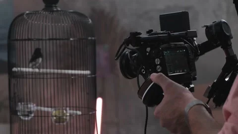 Hands holding and operating the professional digital camera with electronic Stock Footage 166828632