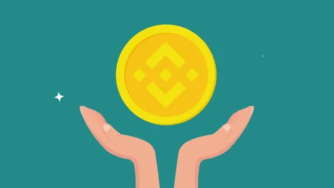 Hands holding Binance Coin Stock Footage 174699264