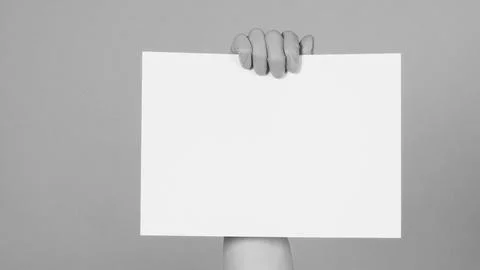 Hands holding blank empty A4 paper and wear latex gloves Stock Photos