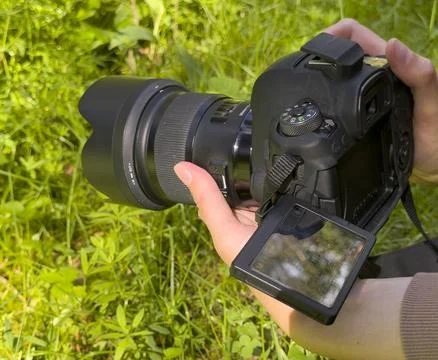 Hands holding camera with flipped screen photographing green grass outdoors. Stock Photos