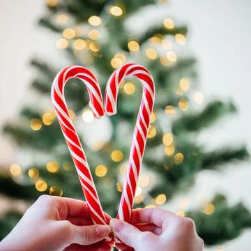 Hands holding candy canes in the shape of heart against Christmas tree lights Stock Photos