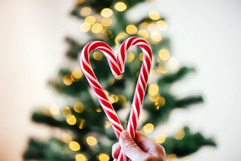 Hands holding candy canes in the shape of heart against Christmas tree lights Stock Photos