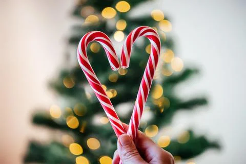 Hands holding candy canes in the shape of heart against Christmas tree lights Stock Photos