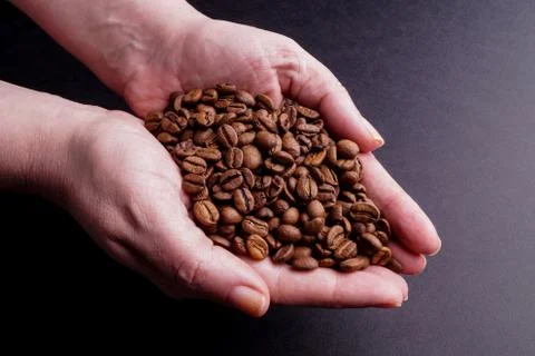 Hands holding Coffee Beans Stock Photos