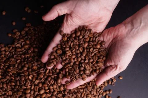 Hands holding Coffee Beans Stock Photos
