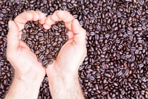 Hands holding coffee beans in shape of heart Stock Photos