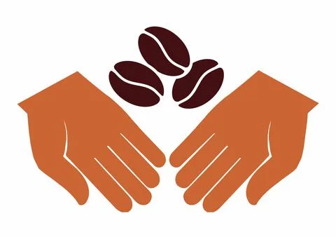 Hands holding coffee beans. Two open hands holding coffee beans, isolated vector Stock Illustration