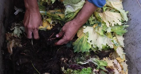 Hands holding compost inside the composter with organic waste Stock Footage 151684021