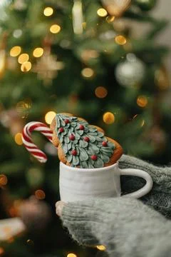 Hands holding cup with cookie and candy cane against christmas tree with go.. Stock Photos