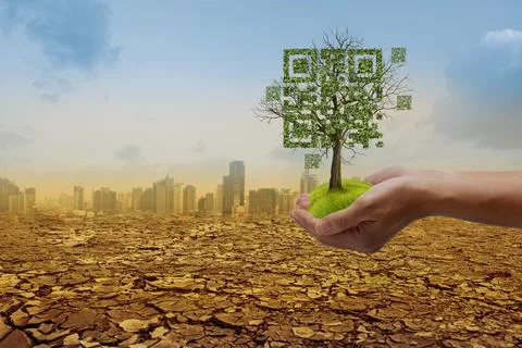 Hands holding dead tree shaped like qrcore in the dry forest and city backgro Stock Photos