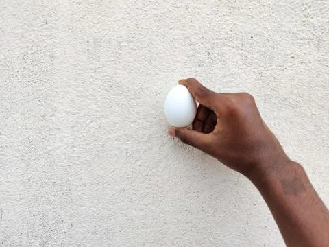 Hands holding an egg in white background. Stock Photos