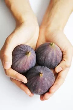 Hands holding figs Stock Photos