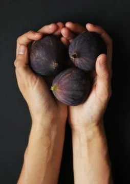 Hands holding figs Stock Photos