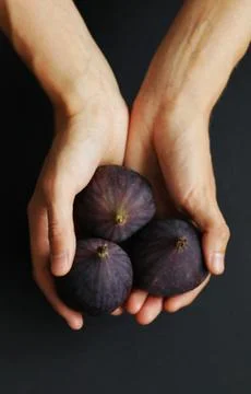 Hands holding figs Foto stock
