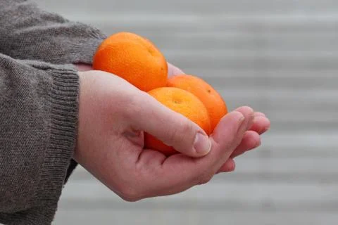 Hands holding fresh fruit Stock Photos