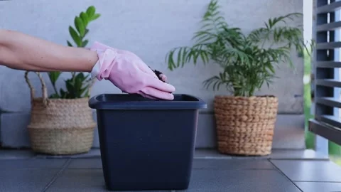Hands holding fresh soil against the background of a pot, replanting flowers Stock Footage 274796606