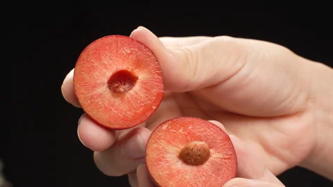 Hands Holding Fresh Split Red Plum Halves Isolated on Black Background Stock Footage 319916157
