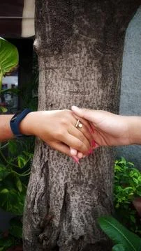 Hands Holding in Front of Tree Trunk Symbolizing Connection Stock Photos