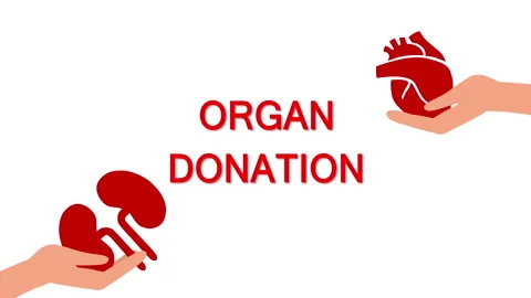 Hands holding human organs. World Organ Donation Day. Concept of organ donation Stock Footage 238039411