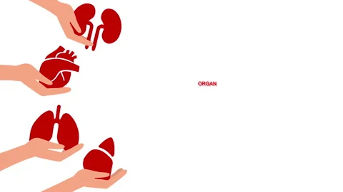 Hands holding human organs. World Organ Donation Day. Concept of organ donation Stock Footage 238406635