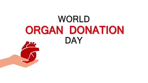 Hands holding human organs. World Organ Donation Day. Concept of organ donation Stock Footage 239029922