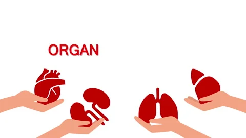 Hands holding human organs. World Organ Donation Day. Concept of organ donation Video stock 239198104