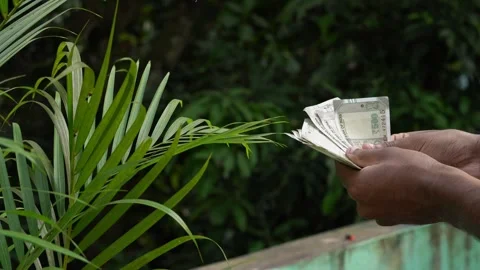 Hands holding Indian currency notes in a bright outdoor setting. Stock Footage 331057274