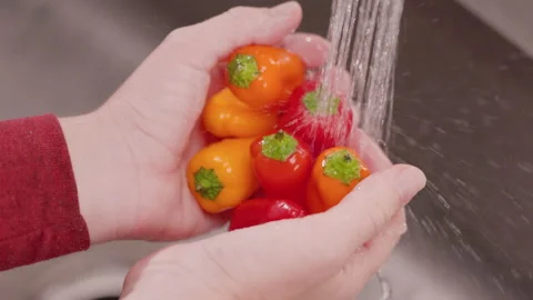 Hands Holding Mini Peppers Under Water to Clean Above Video stock 155115138