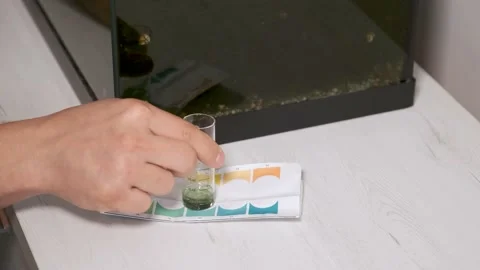 Hands holding neutral pH test in front of freshwater aquarium. Stock Footage 228264133
