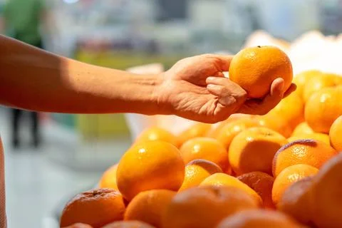 Hands holding oranges Stock Photos
