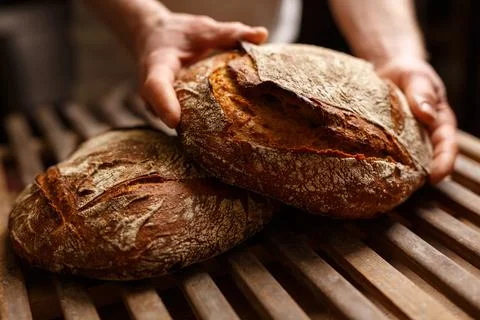 Hands holding organic bread in authentic bakery setting Photos
