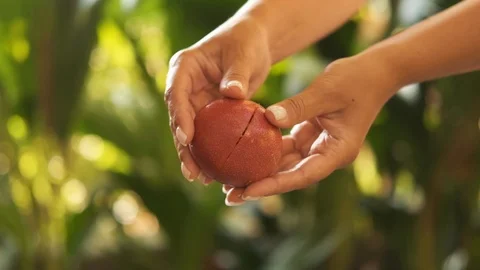 Hands holding passion fruit. Close-up. Stock Footage 122802839